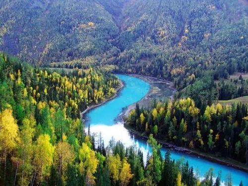 喀纳斯景区爆料案件最新,真相大白，疑云散去！