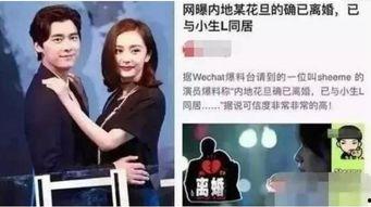 卓伟爆料杨幂最新消息,卓伟曝惊人消息，揭秘杨幂近况！