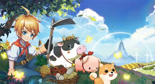 戴露最新动态爆料,揭秘娱乐圈幕后真相